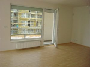 Квартиры-в-новостройках-450x337